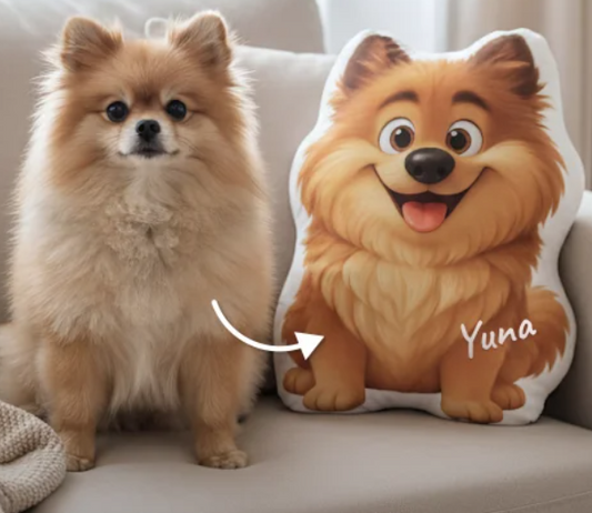 FidoFiaba™ - cuscino personalizzabile in stile Disney-Pixar